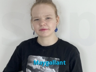 Maygallant