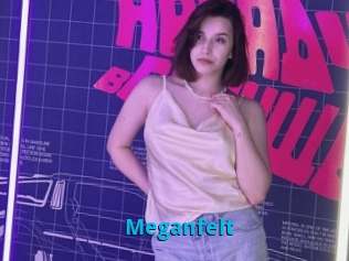 Meganfelt