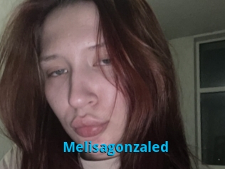 Melisagonzaled