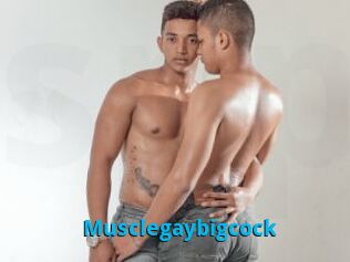 Musclegaybigcock