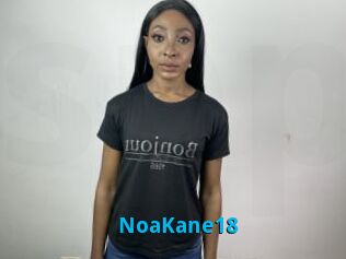 NoaKane18