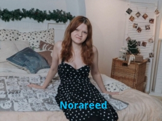 Norareed