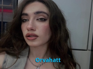 Orvahatt