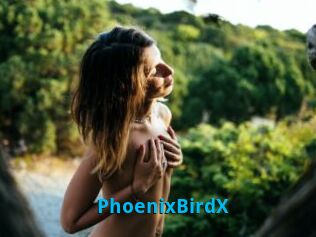 PhoenixBirdX