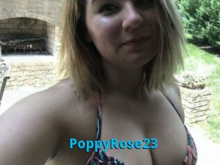 PoppyRose23