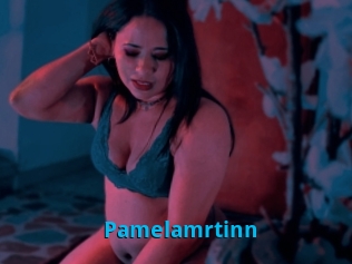 Pamelamrtinn