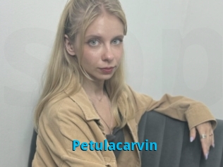 Petulacarvin