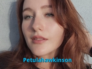 Petulahawkinson