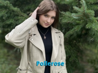 Pollerose