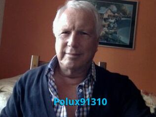 Polux91310