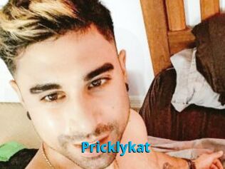 Pricklykat