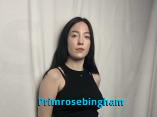 Primrosebingham