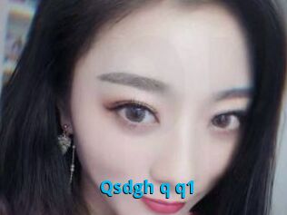 Qsdgh_q_q1