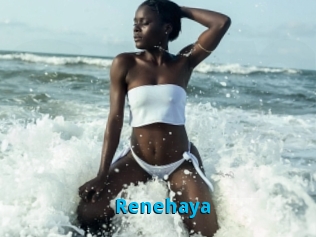 Renehaya