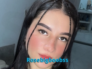 Rosebigboobss
