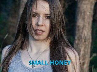 SMALL_HONEY