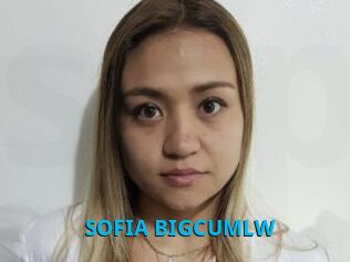 SOFIA_BIGCUMLW