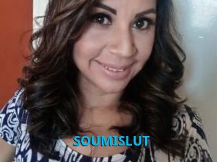 SOUMISLUT