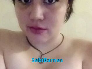 Sebi_Barnes