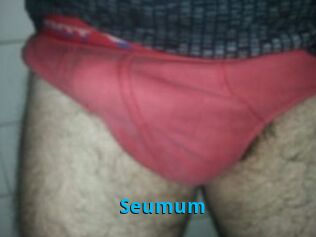 Seumum