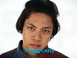 ShaggyCozzy