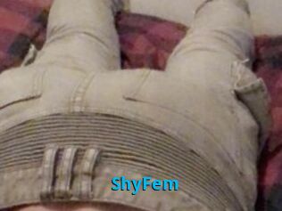 ShyFem