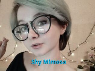 Shy_Mimosa