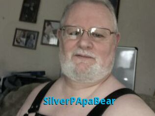 SilverPApaBear