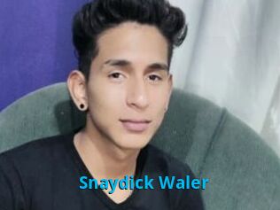 Snaydick_Waler