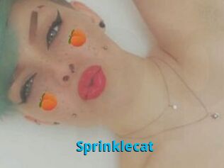 Sprinklecat