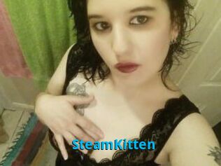 SteamKitten