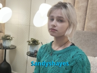 Sandyshayes