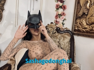 Sashagodonghai