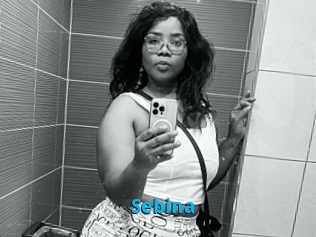 Sebina