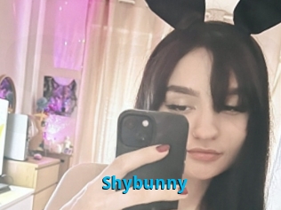 Shybunny