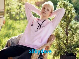Silkydave