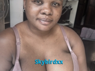 Skybirdxx