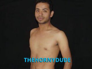 THEHORNYDUDE