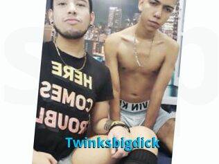Twinksbigdick
