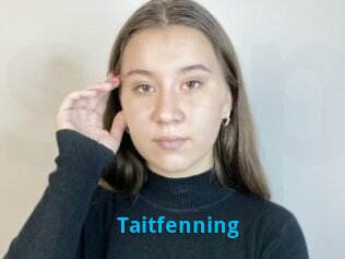 Taitfenning