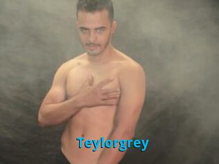 Teylorgrey
