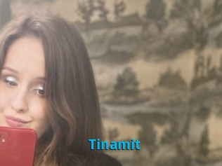 Tinamit