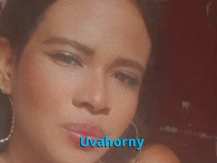 Uvahorny