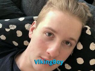 VikingBoy
