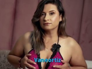 Vaneortiz