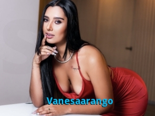 vanesaarango Stinkypinkpimpin