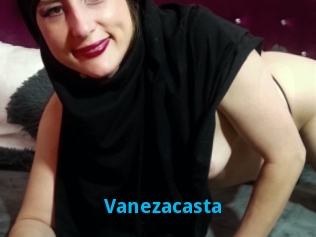 Vanezacasta