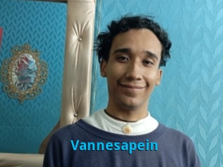 Vannesapein