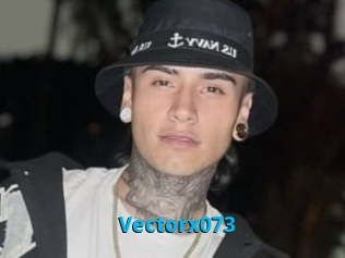 Vectorx073