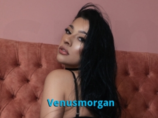 Venusmorgan